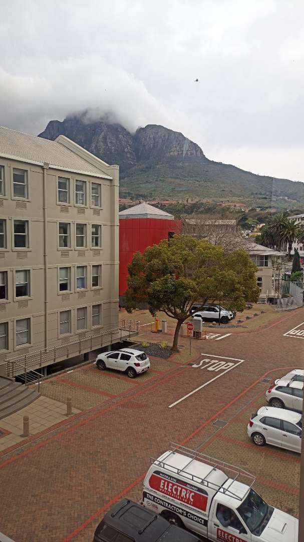 To Let commercial Property for Rent in Rondebosch Western Cape